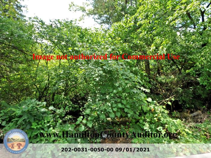 Photo 09/01/2021